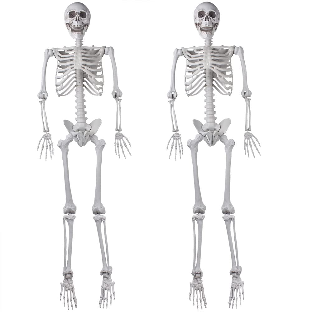 2Packs 5.4ft Life Size Full Body Skeletons with Movable Joints S8886