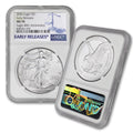 1 oz American Silver Eagle Coin Q536