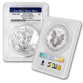 1 oz American Silver Eagle Coin M94157