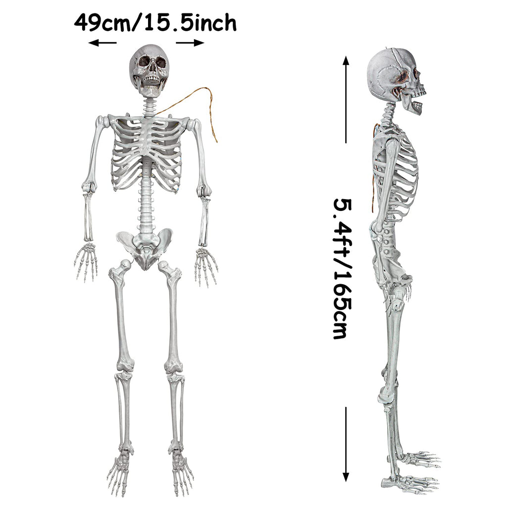 2Packs 5.4ft Life Size Full Body Skeletons with Movable Joints S8886