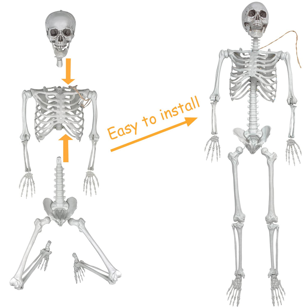 2Packs 5.4ft Life Size Full Body Skeletons with Movable Joints S8886