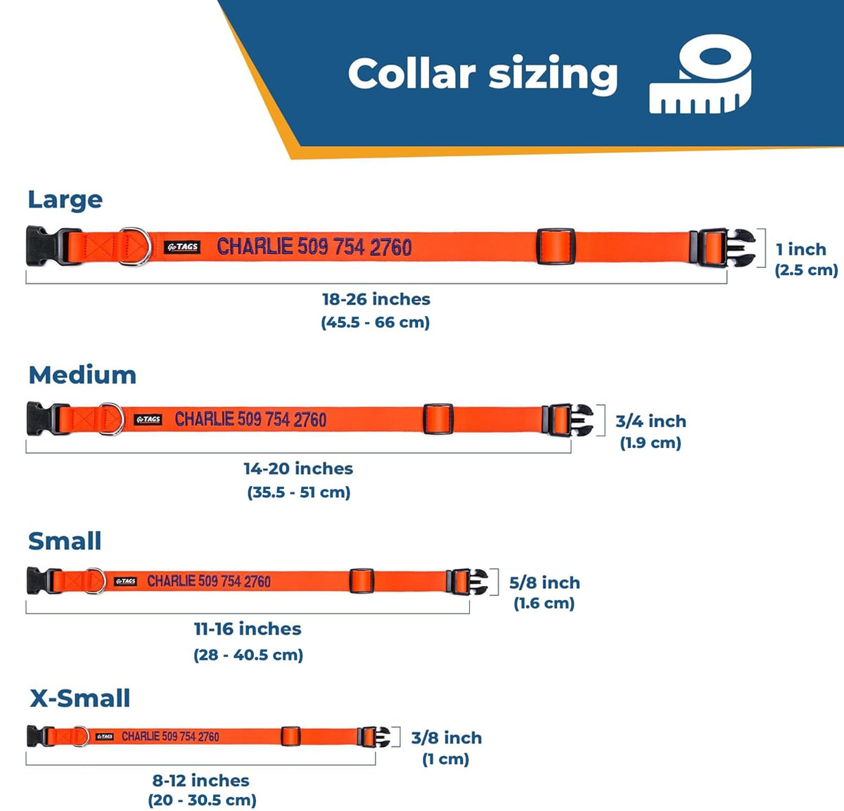 Personalized Dog Collar I4955