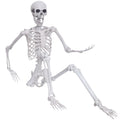 5.4ft Posable Full Body Skeleton D809656