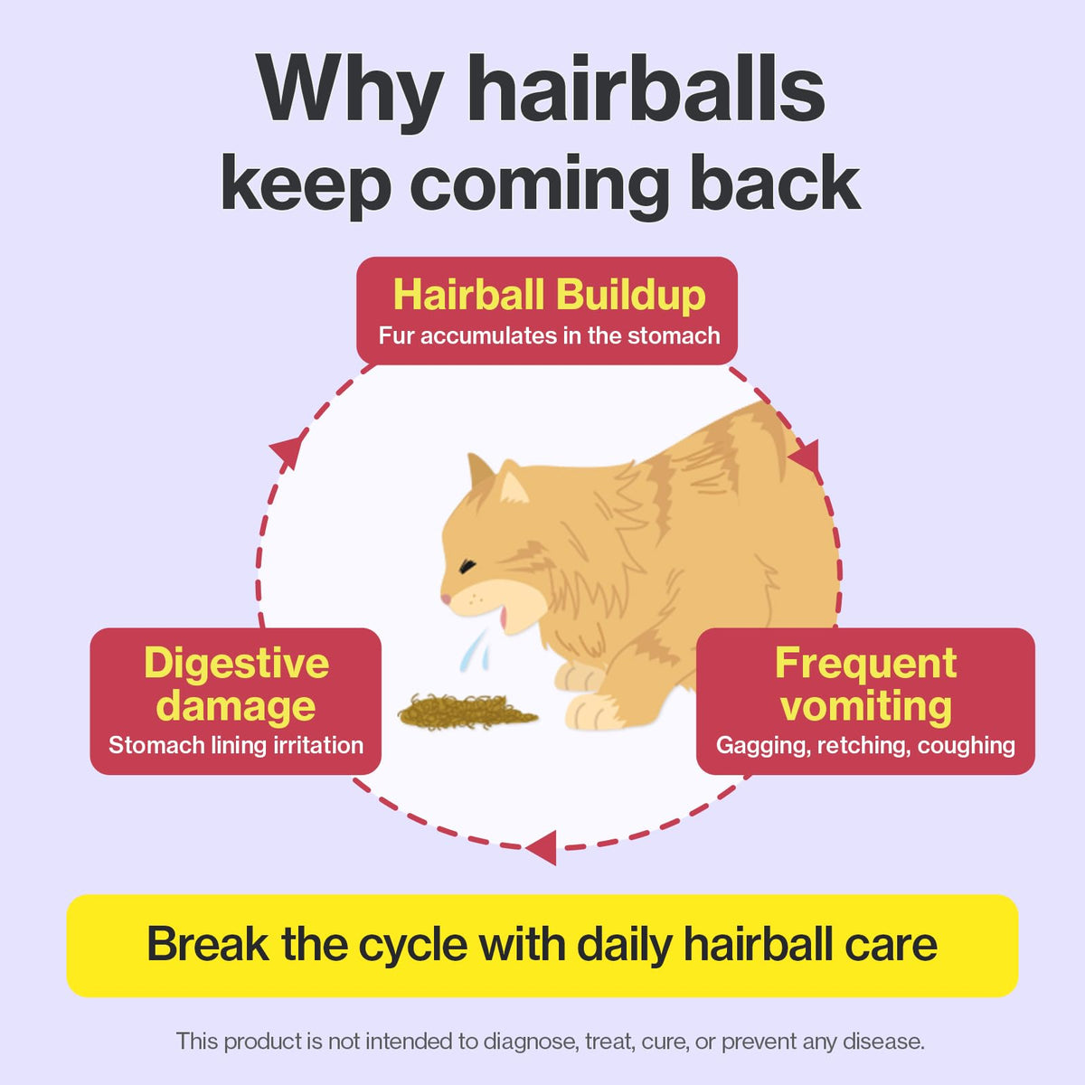 Chicken Flavor Hairball Relief Cat Supplement 30 Count N622247