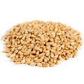 Organic Hard White Wheat Berries, Whole Grain, 25 lb K849