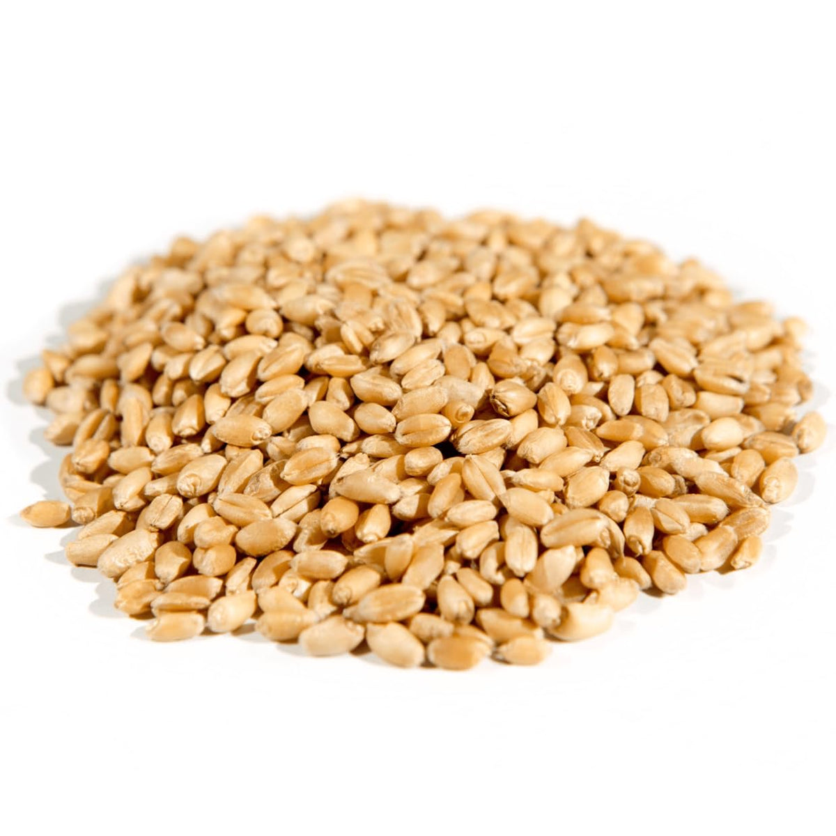 Organic Hard White Wheat Berries, Whole Grain, 25 lb K849