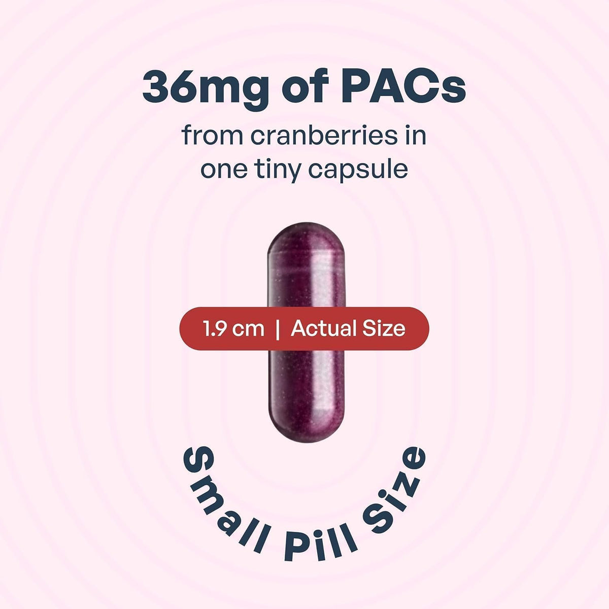 Cranberry PACs 36 mg 30 Capsules L71503