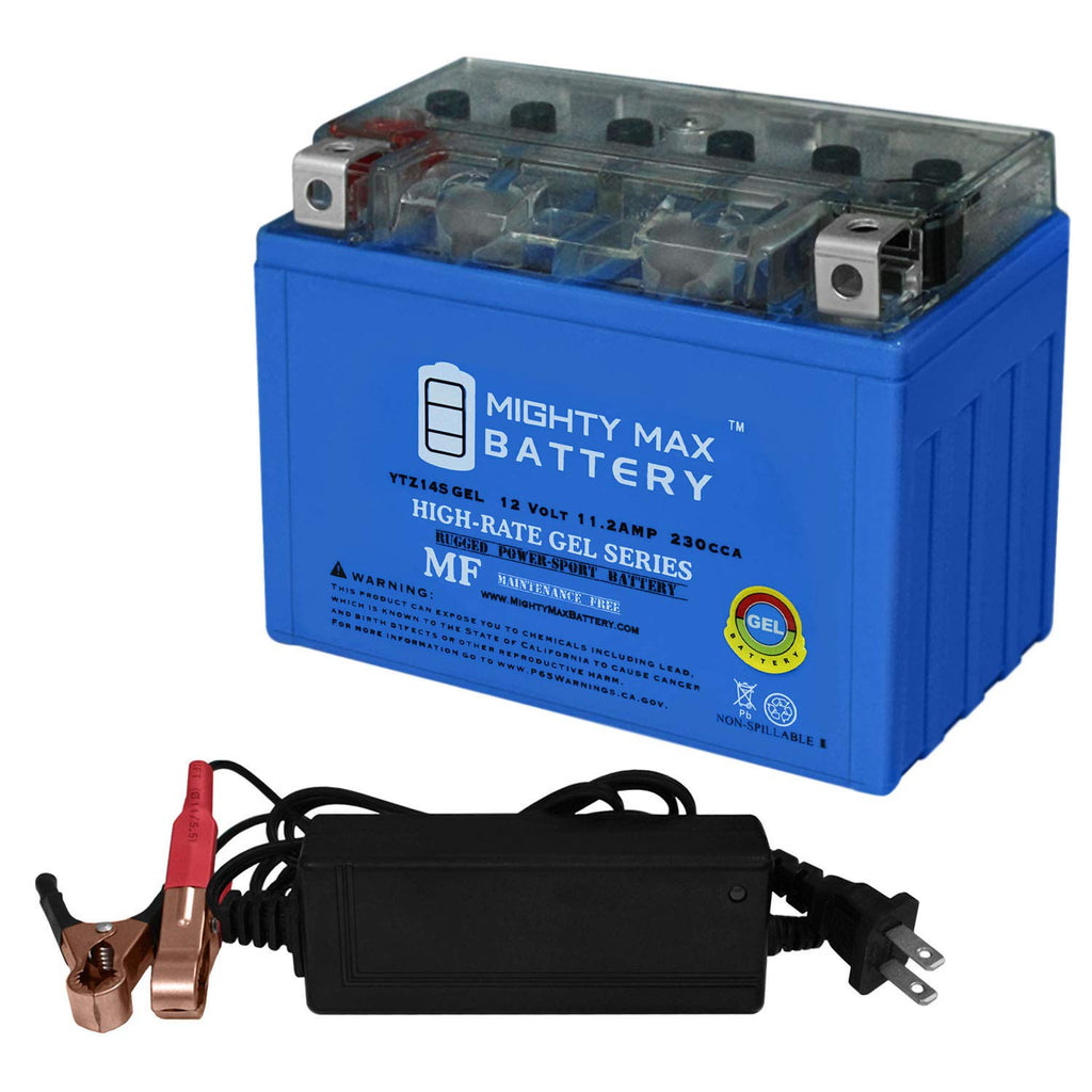 12V GEL Battery with 2Amp Charger M278742