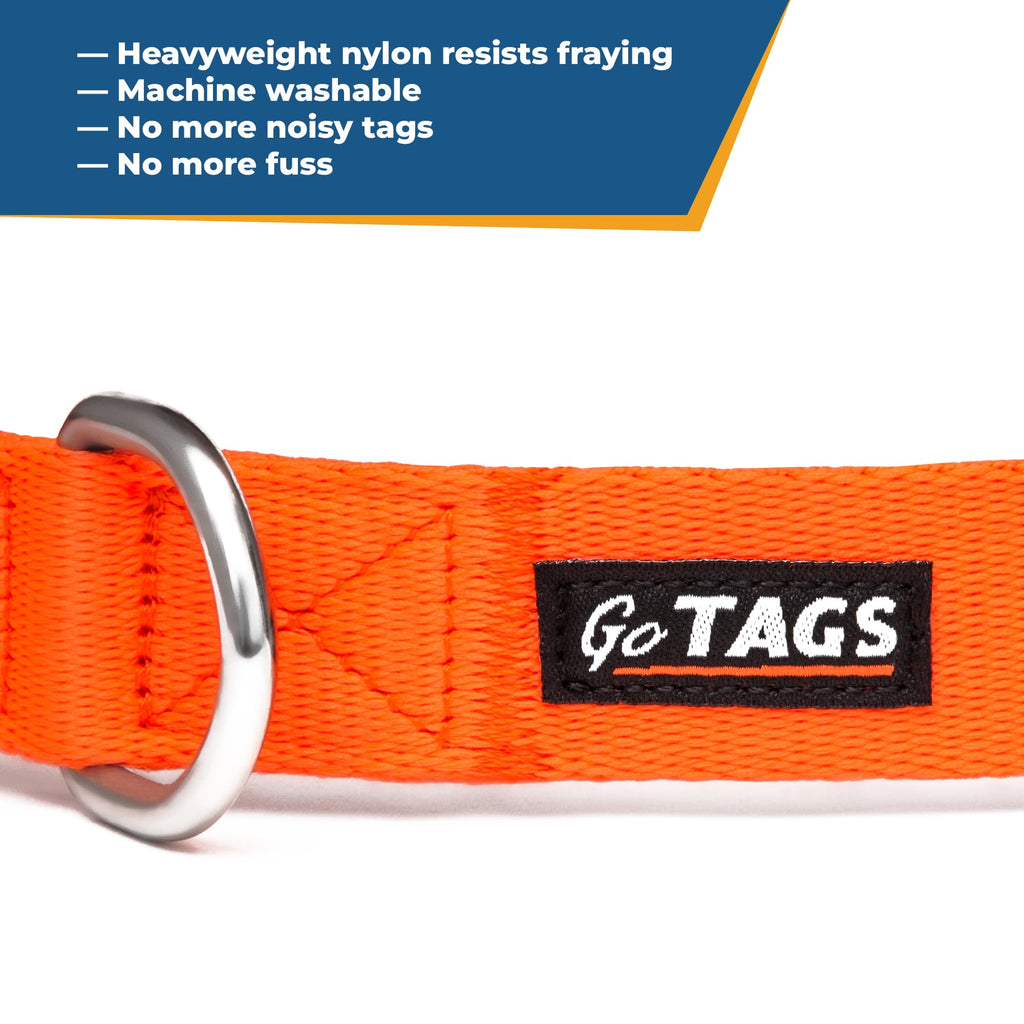 Personalized Dog Collar I4955