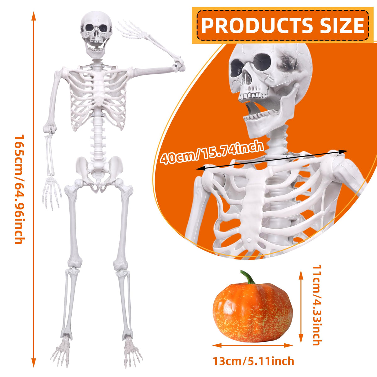 5.4ft Posable Full Body Skeleton D809656