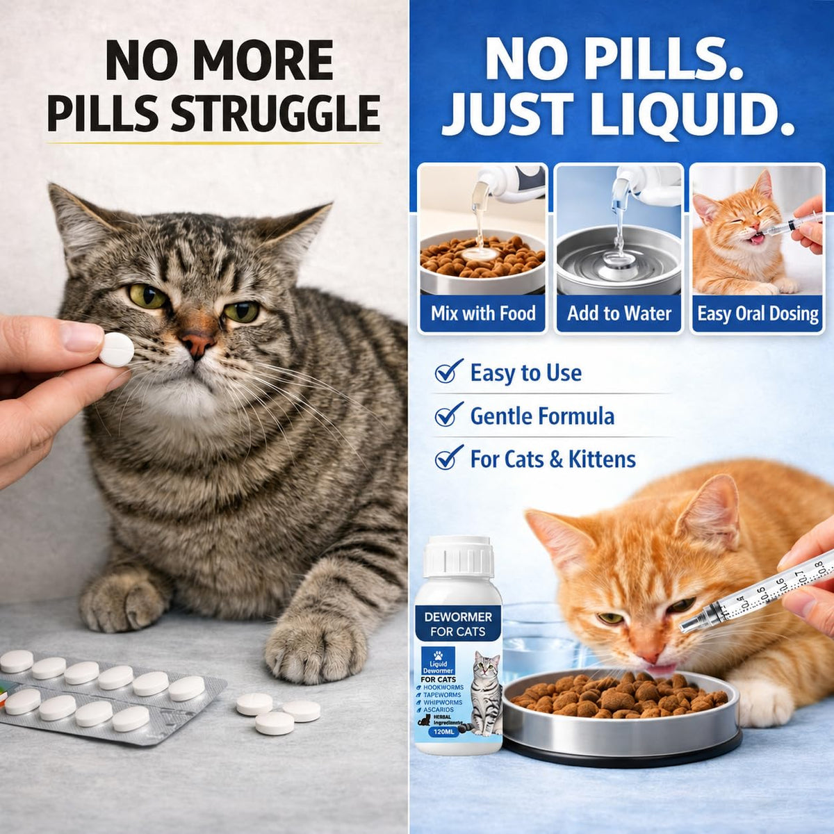 Broad Spectrum Cat Dewormer Liquid 4 oz Q846