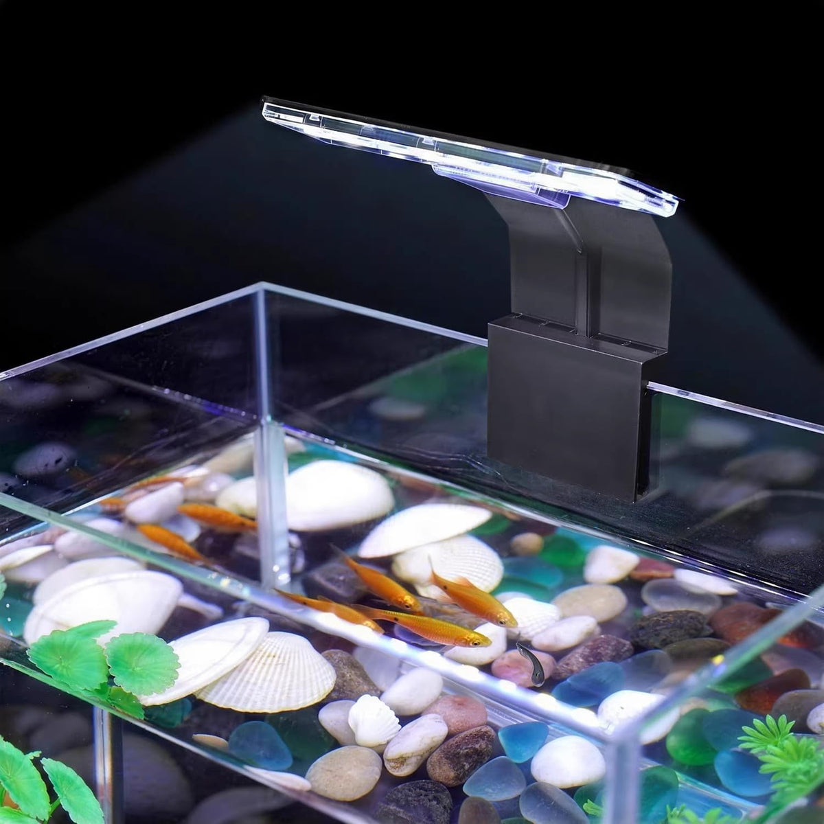 7W Clip On Aquarium Light with White Red Blue Green LED P1899