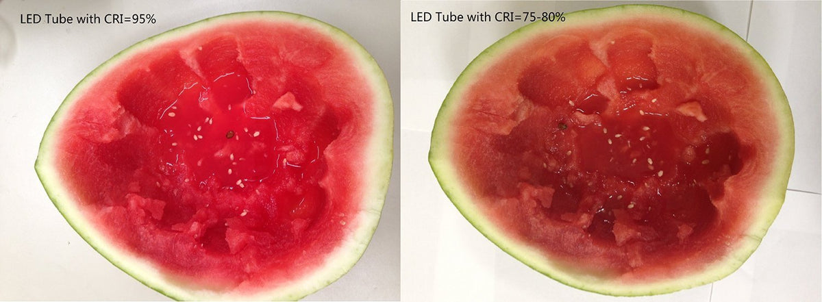 2ft Warm 3000K Dimmable T8 LED Tube V1212