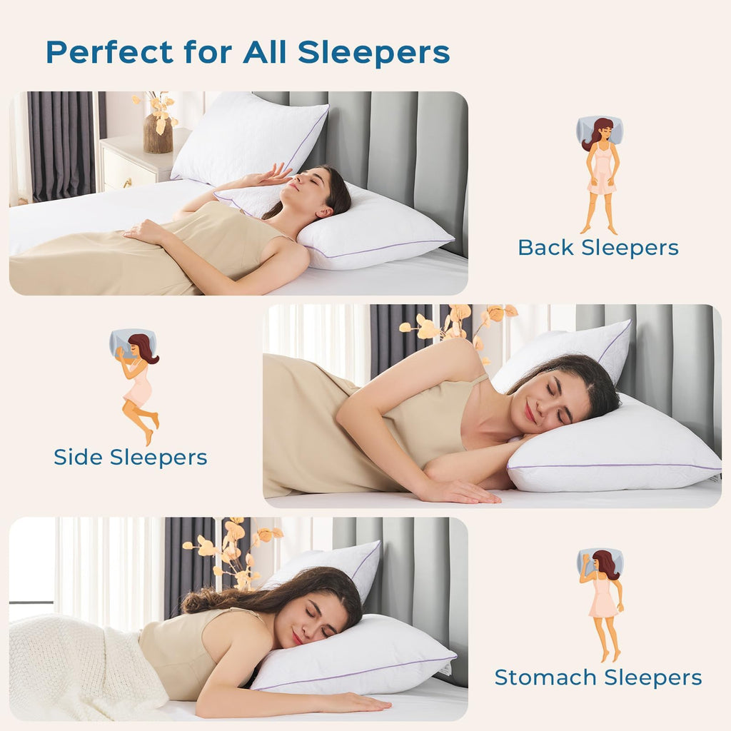 King Size Down Alternative Pillows Set of 2 R746