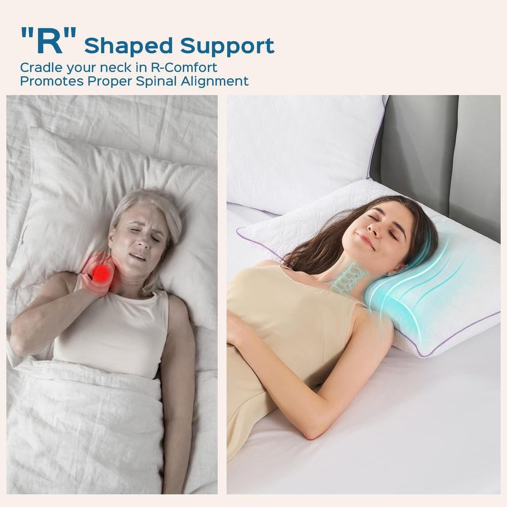 King Size Down Alternative Pillows Set of 2 R746