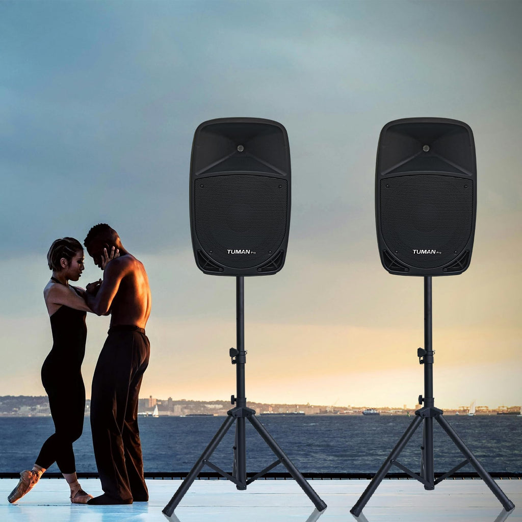 10 inch 1200 Watt Bluetooth PA Speaker System with Microphone O78208
