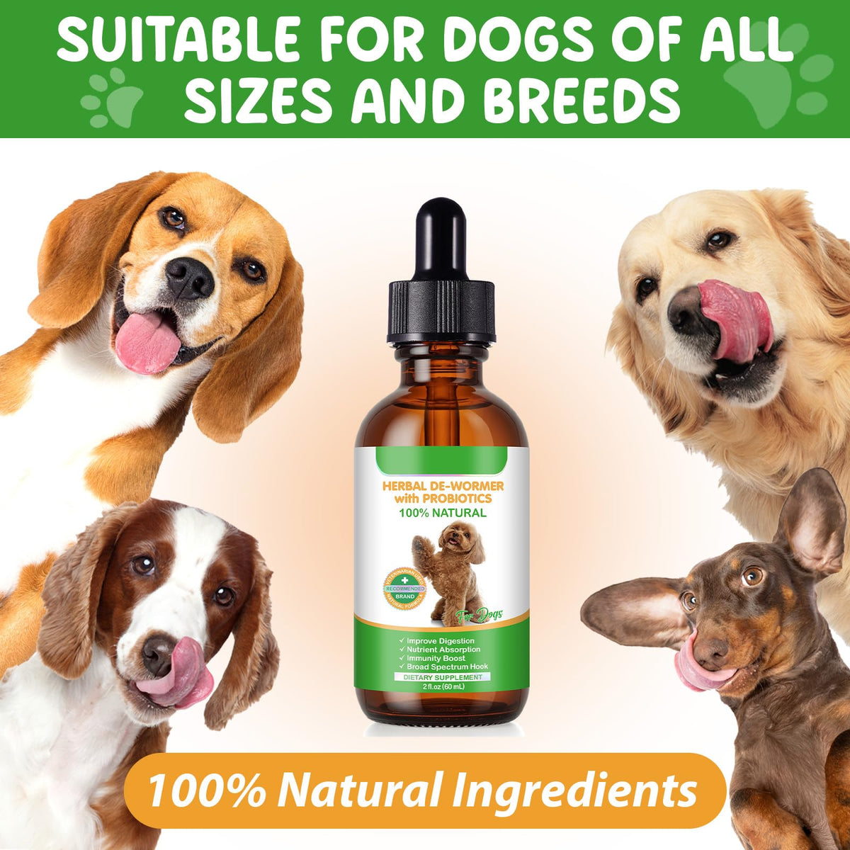 2 Fl Oz Herbal Digestive Support for Dogs F7971