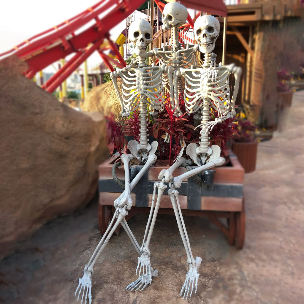2Packs 5.4ft Life Size Full Body Skeletons with Movable Joints S8886