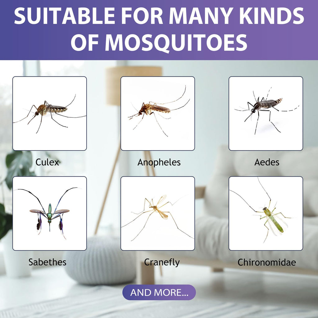 2 Mosquito Attractant Bait Refill E32015