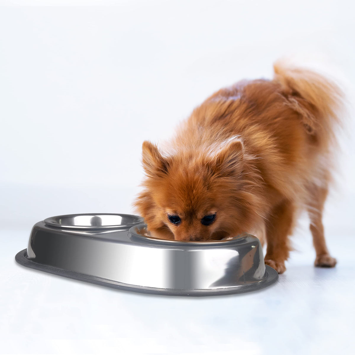 Stainless Steel Double Dish Food And Water Bowl 16 OZ X19611