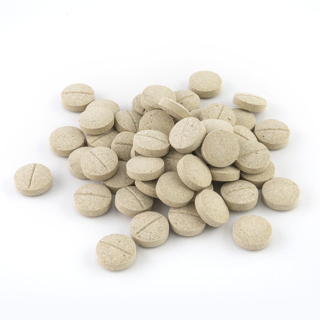 Dog Multivitamin Chewable Tablets 90 Count G476099