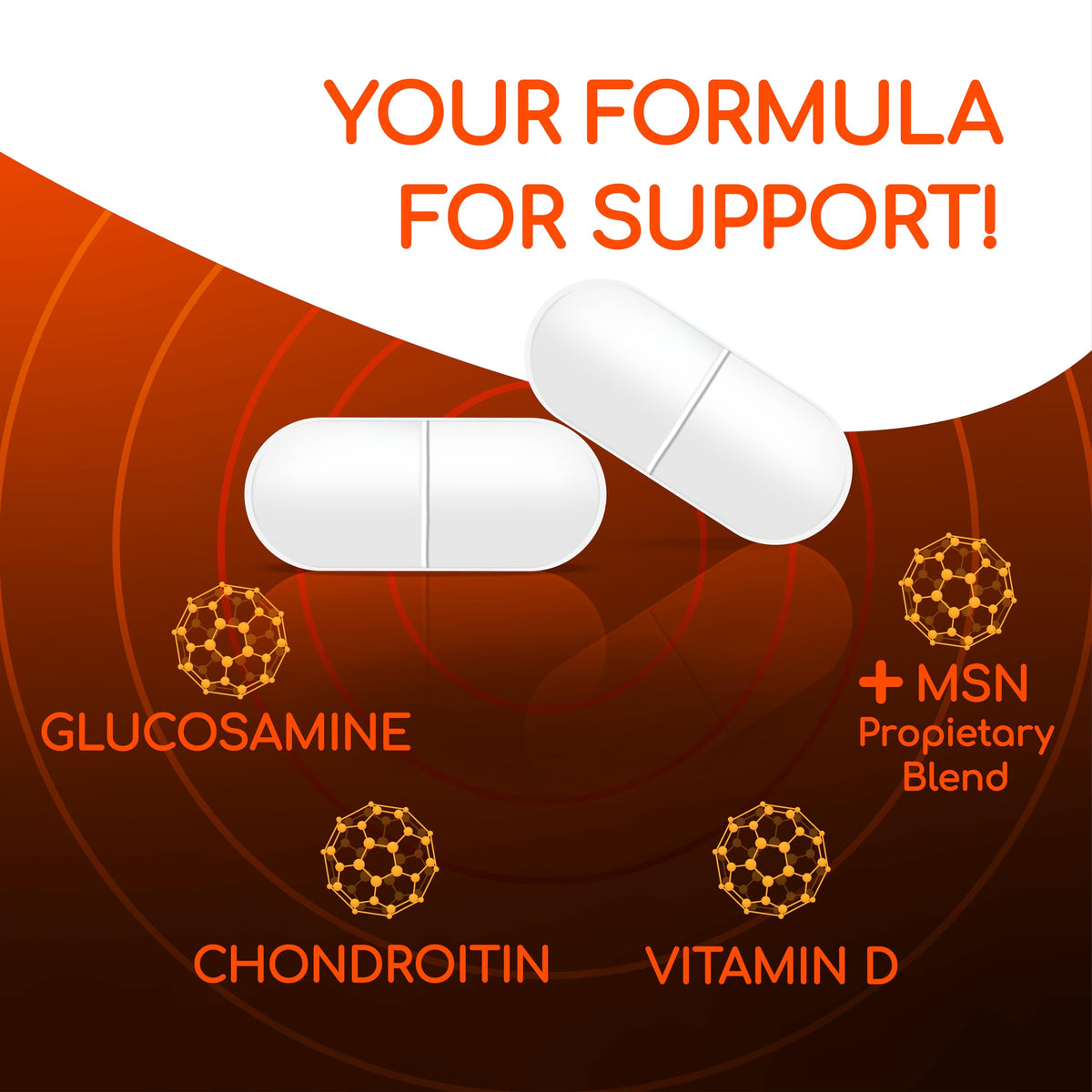 Joint Support Supplement 60 Count 6 Pack X218530