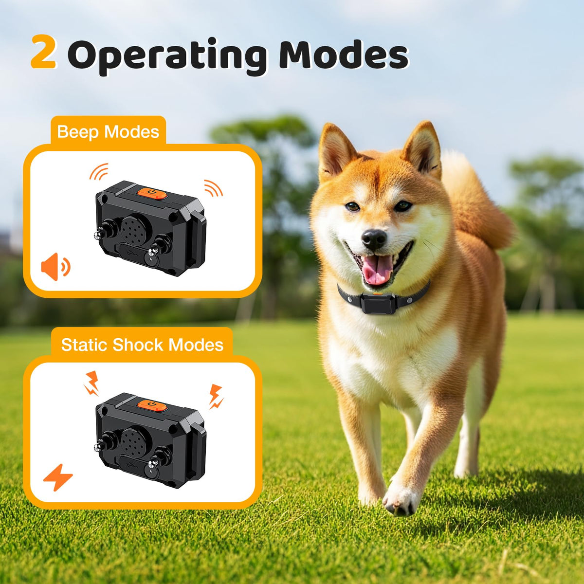 Electric Fence for Dogs with 2 Collars A833