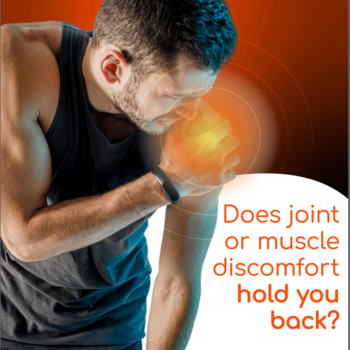 Joint Support Supplement 60 Count 6 Pack X218530