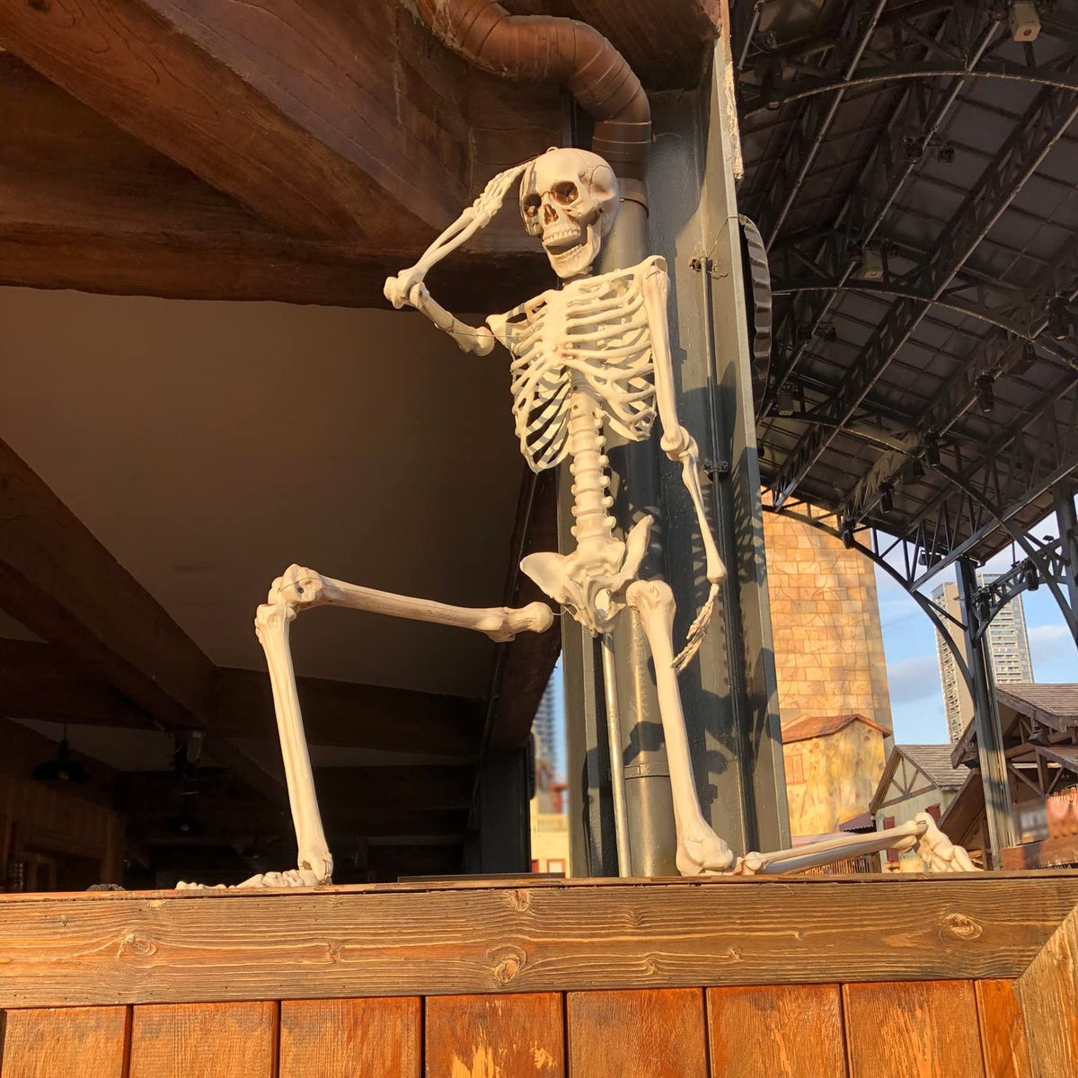 2Packs 5.4ft Life Size Full Body Skeletons with Movable Joints S8886