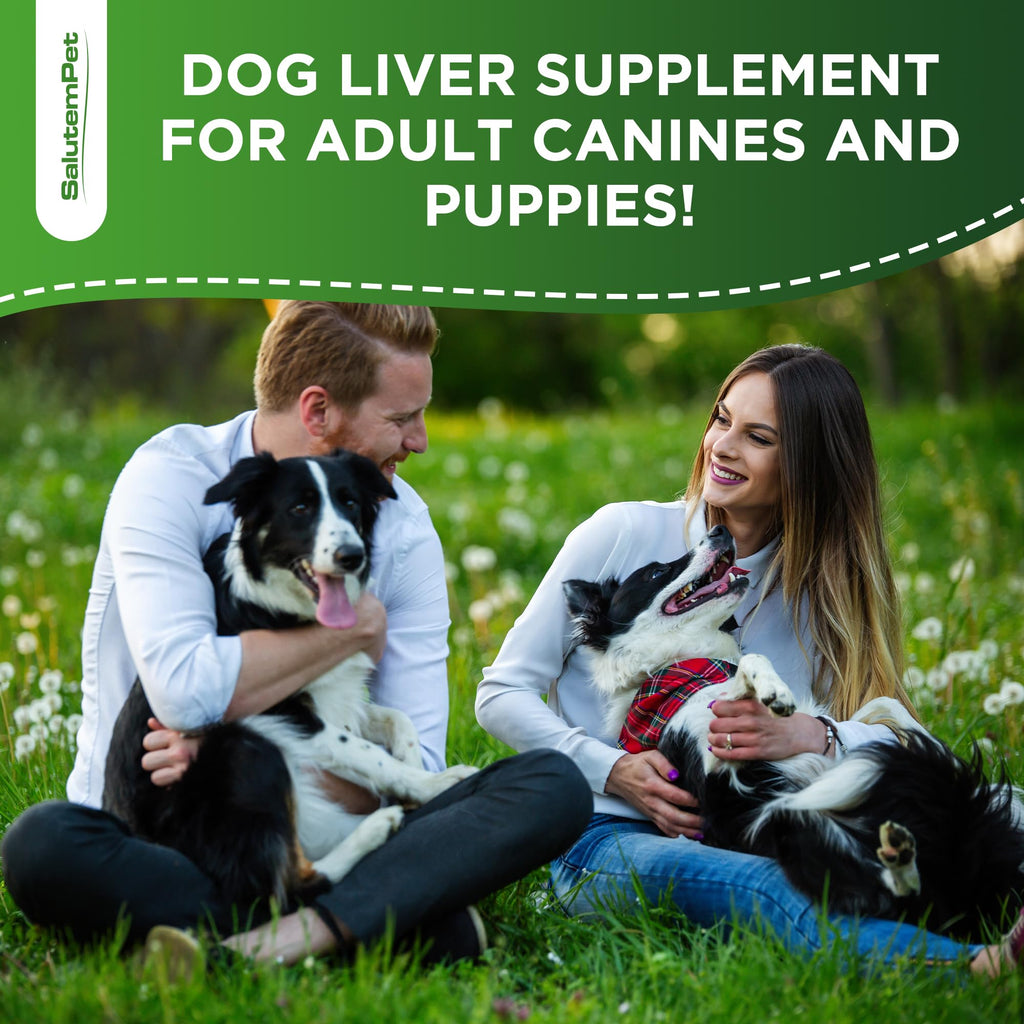 Milk Thistle Dog Liver Supplement 2 Oz G20466