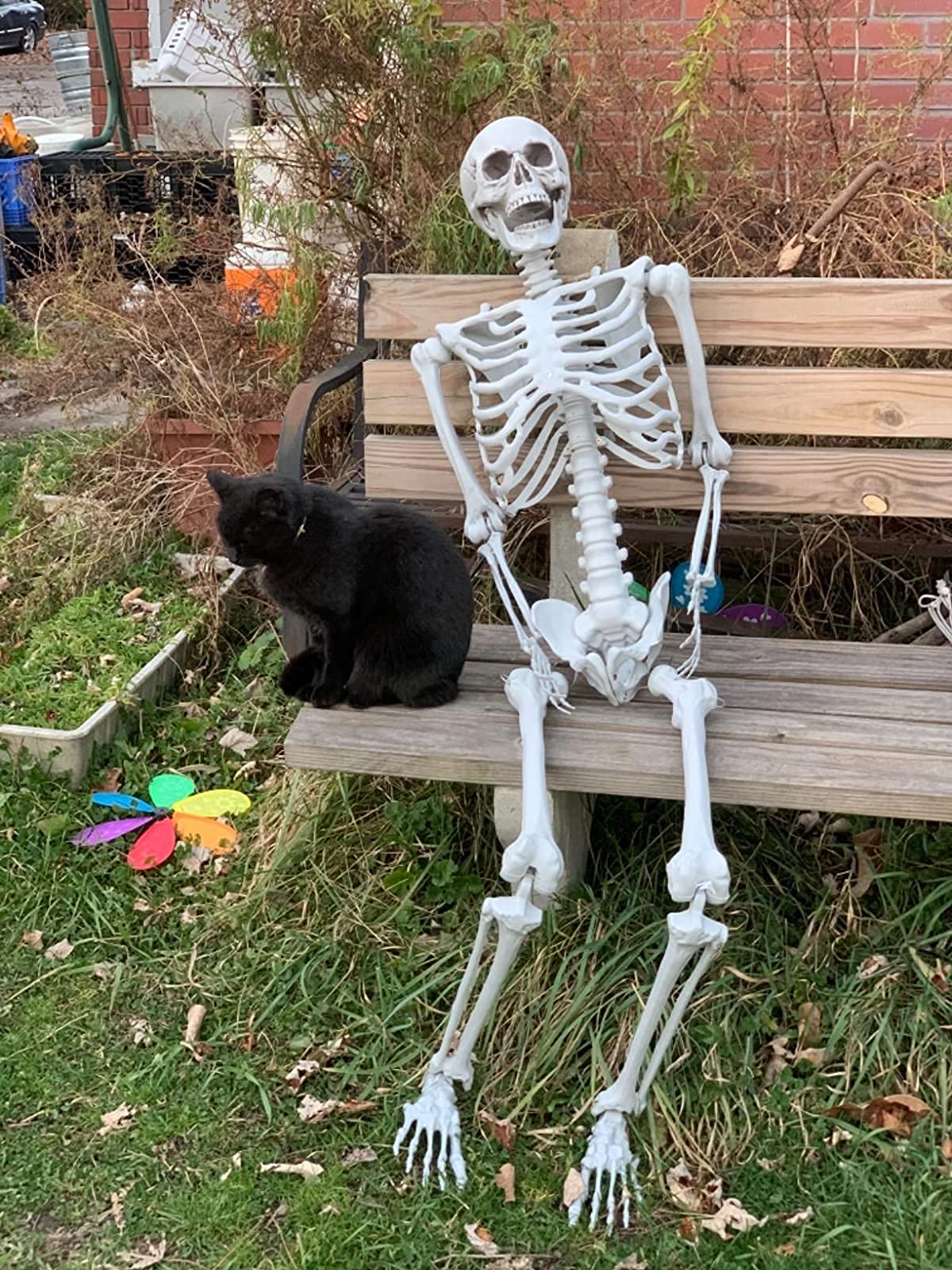 2Packs 5.4ft Life Size Full Body Skeletons with Movable Joints S8886