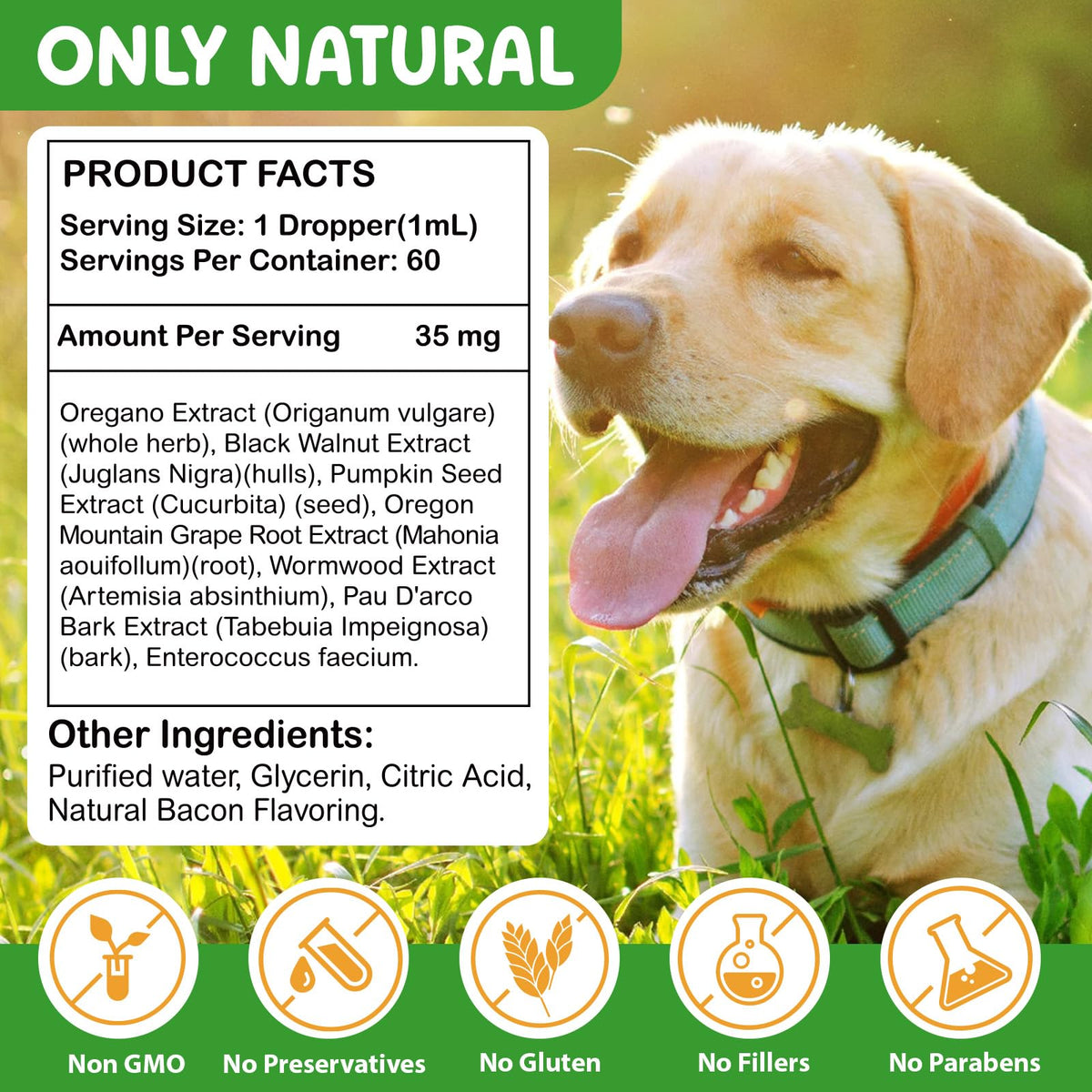 2 Fl Oz Herbal Digestive Support for Dogs F7971