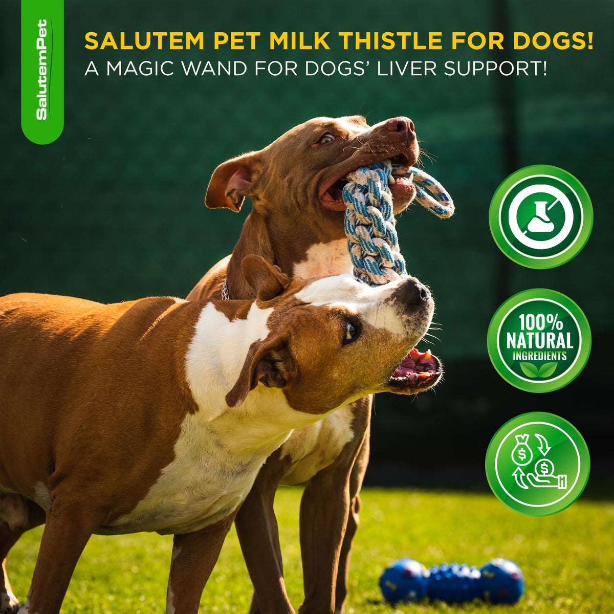 Milk Thistle Dog Liver Supplement 2 Oz G20466
