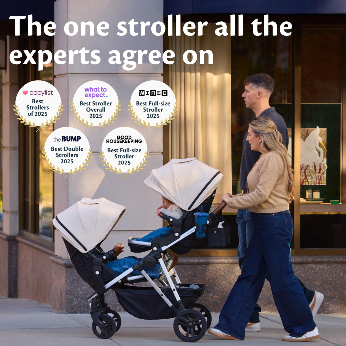 Convertible Stroller D497