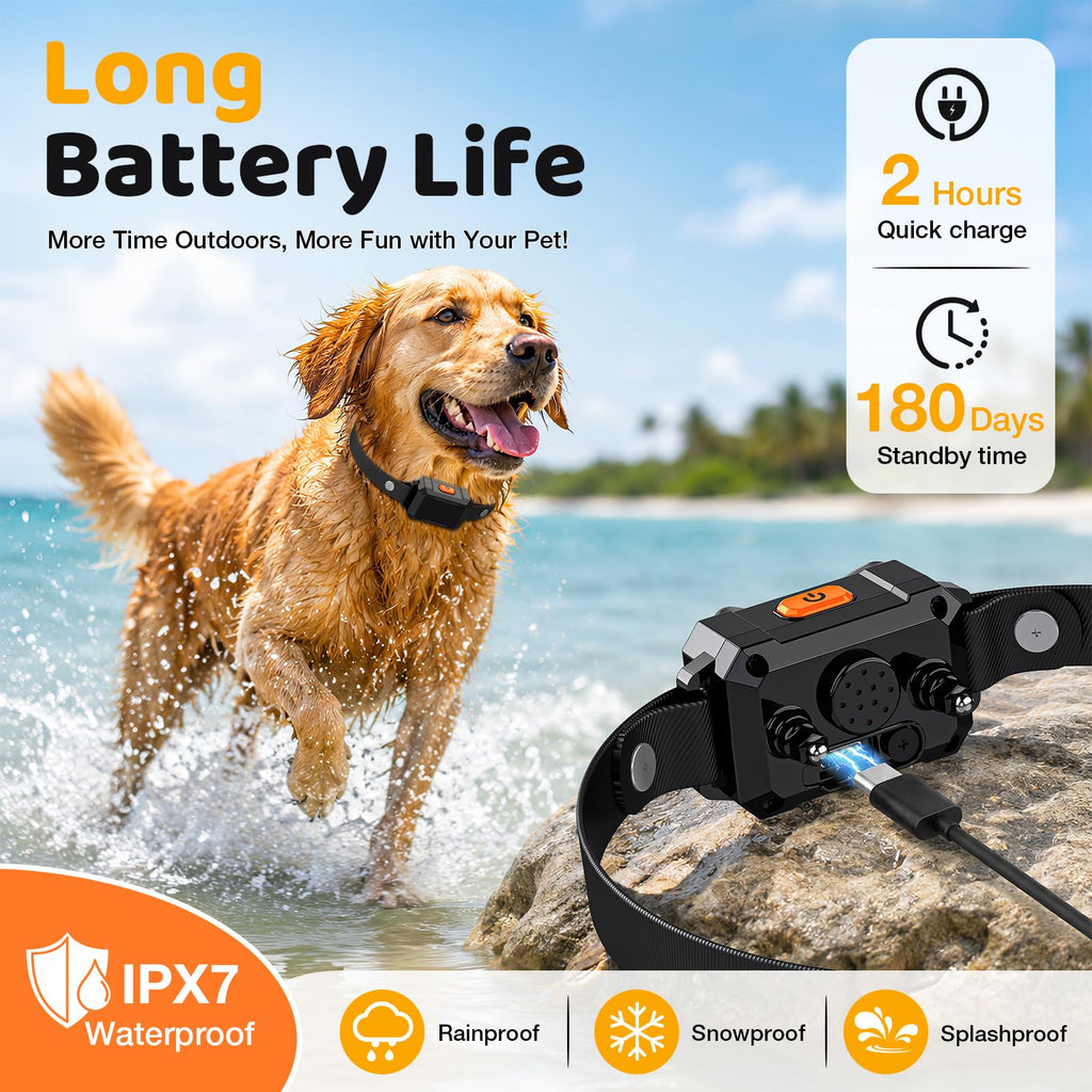 Electric Fence for Dogs with 2 Collars A833