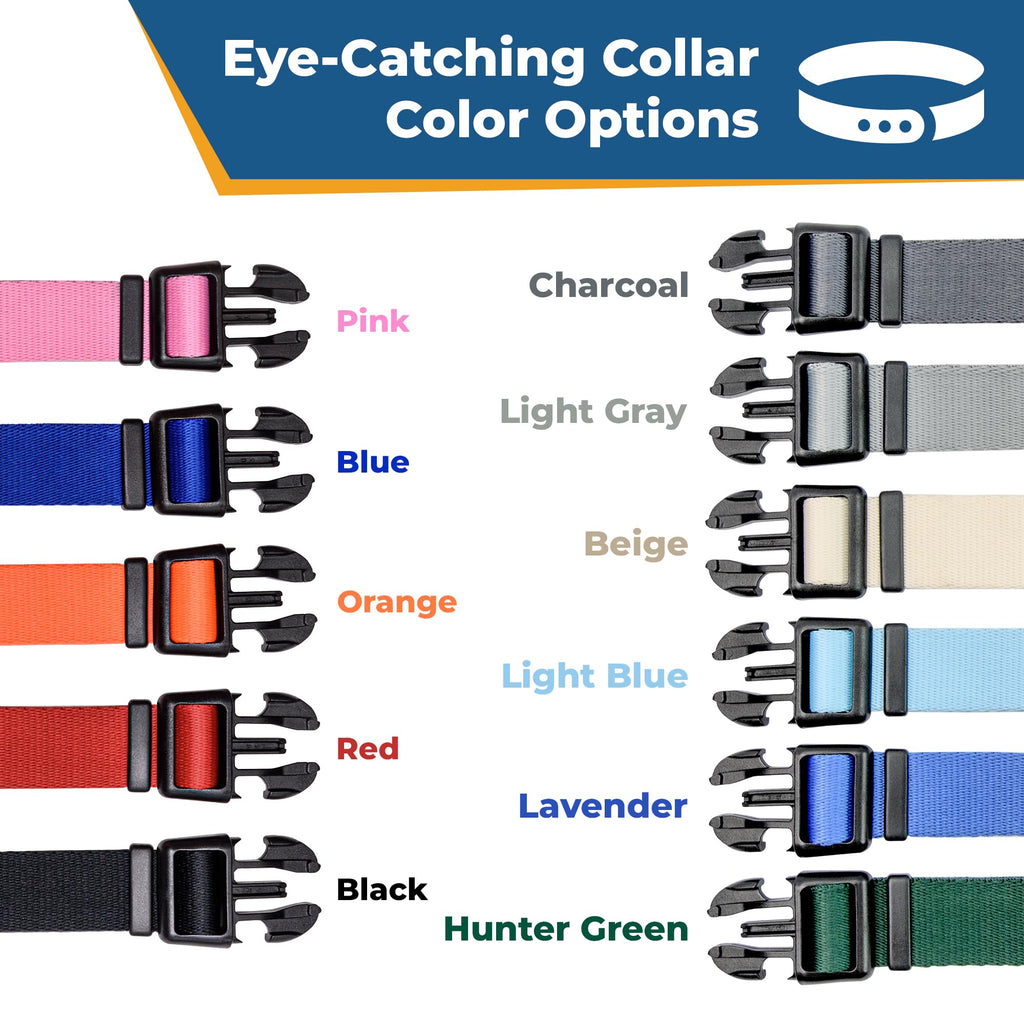 Personalized Dog Collar I4955