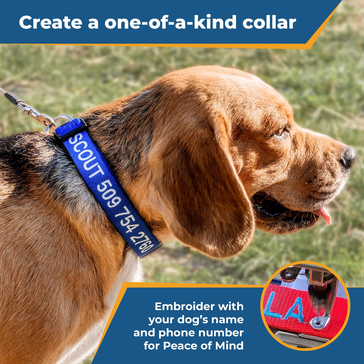 Personalized Dog Collar I4955
