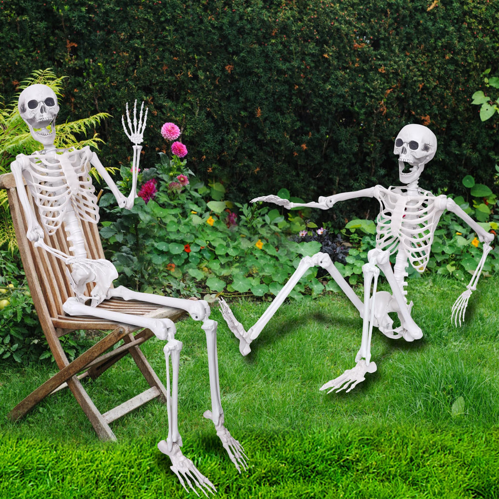 5.4ft Posable Full Body Skeleton D809656