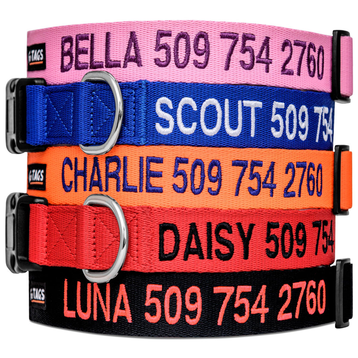 Personalized Dog Collar I4955