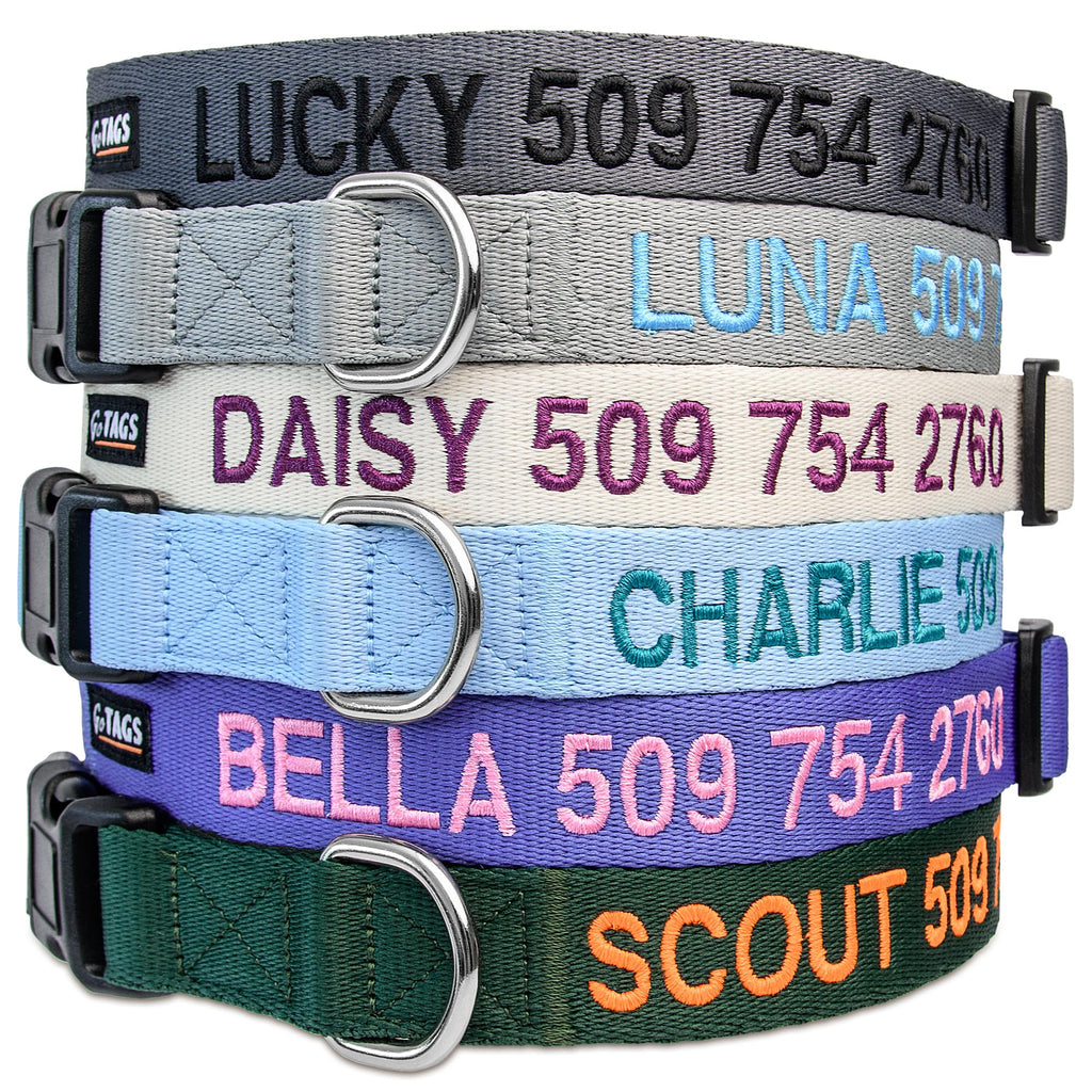 Personalized Dog Collar I4955